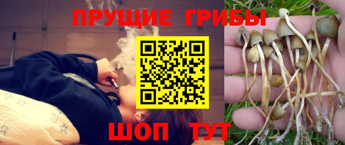 Галлюциногенные грибы мухоморы Прохладный